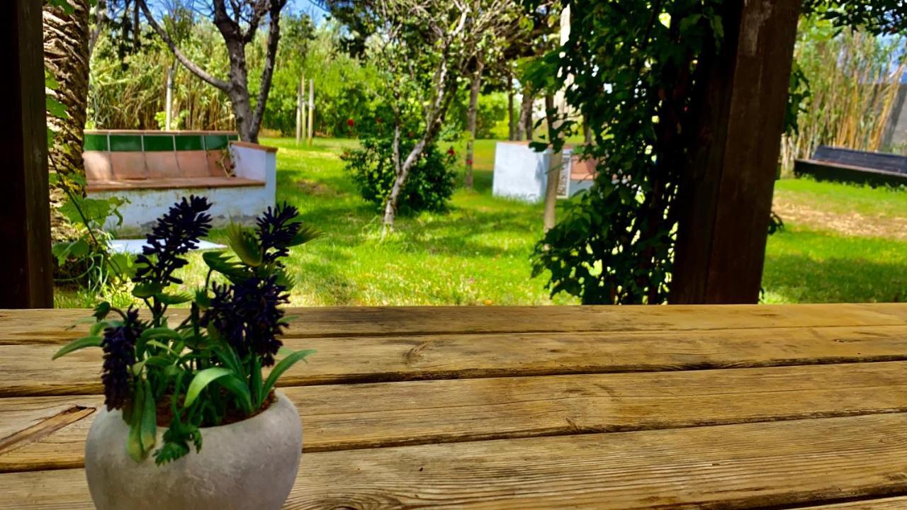 Hotel Banti Garden Tarifa Zewnętrze zdjęcie