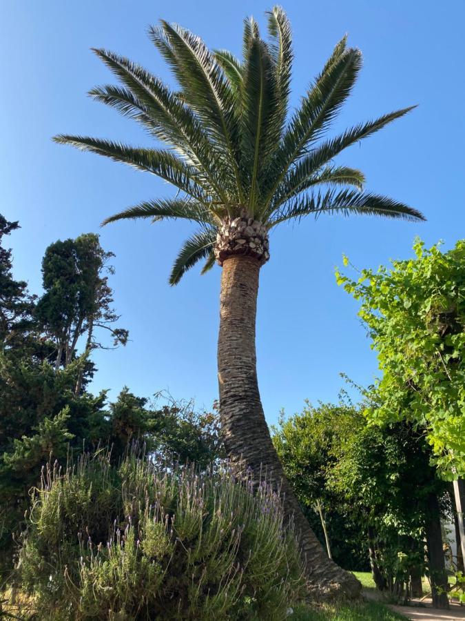 Hotel Banti Garden Tarifa Zewnętrze zdjęcie