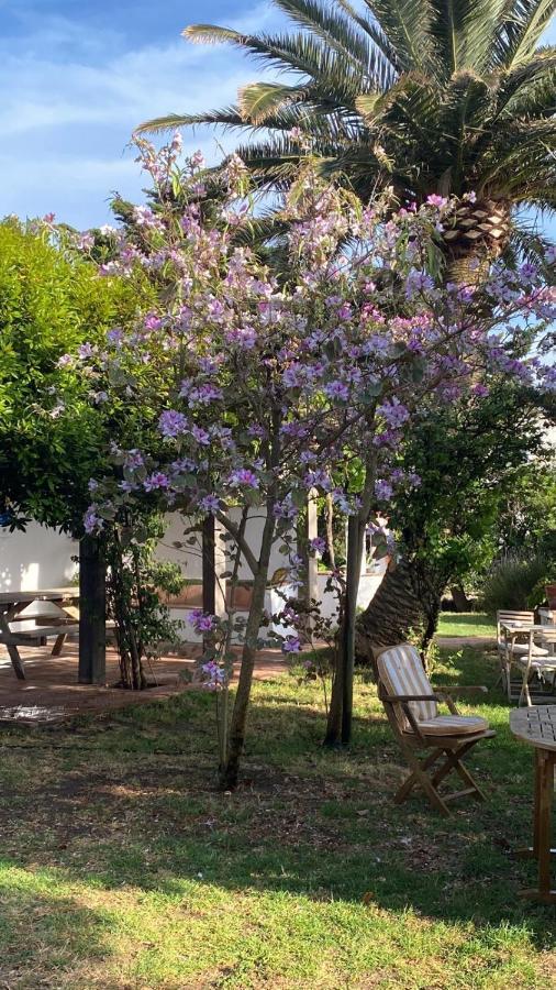 Hotel Banti Garden Tarifa Zewnętrze zdjęcie