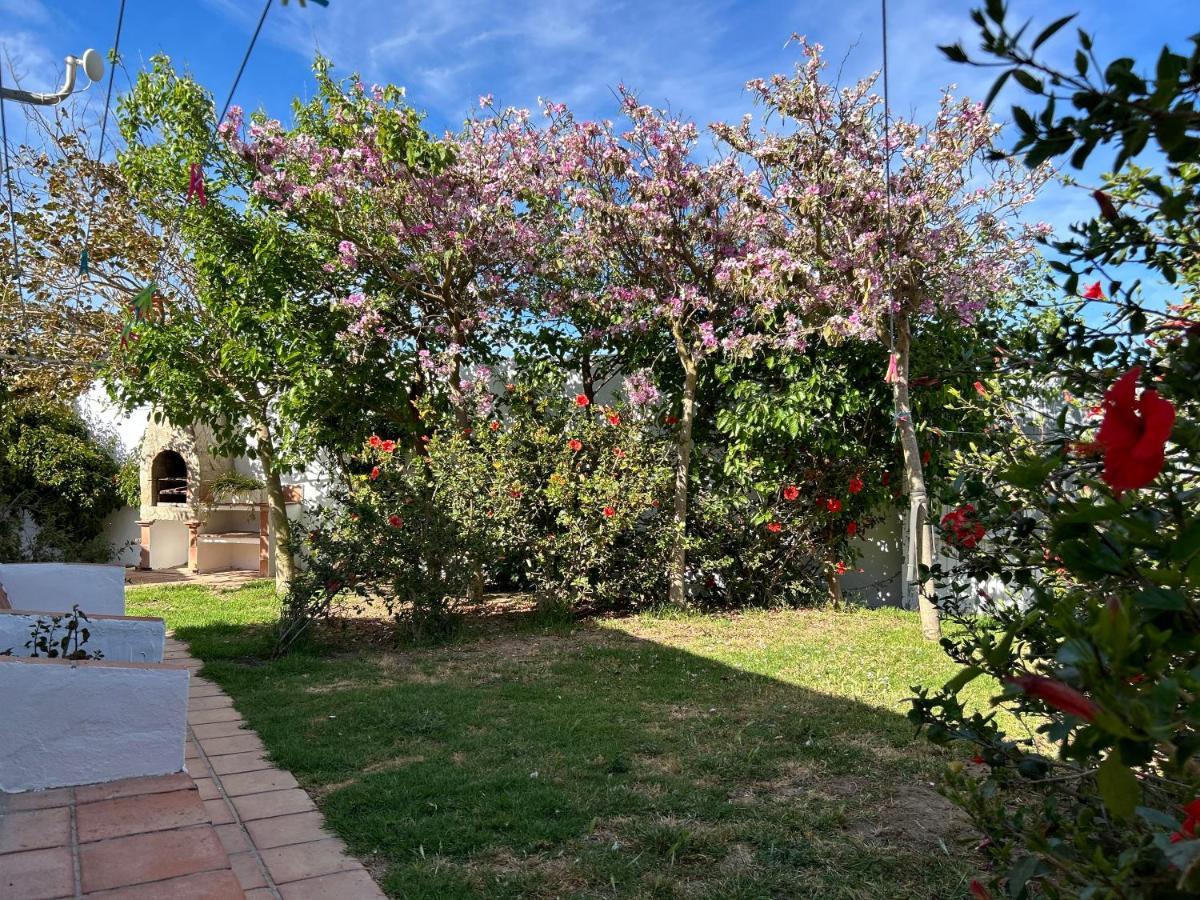 Hotel Banti Garden Tarifa Zewnętrze zdjęcie